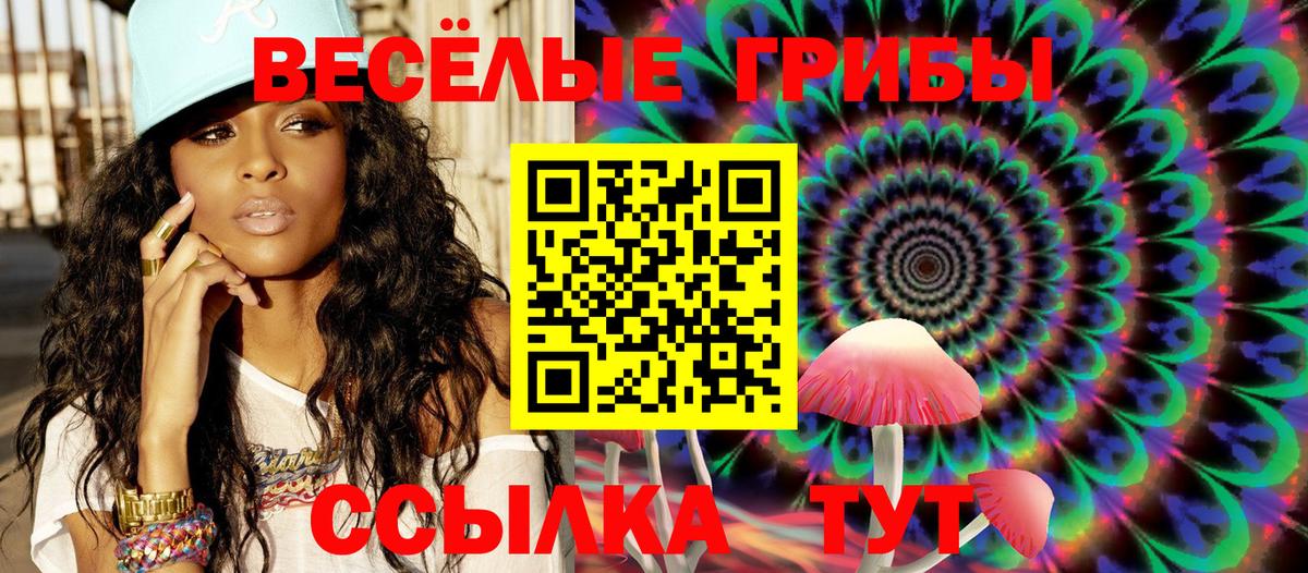 где найти наркотики  Вход с VPN  Изобильный  Псилоцибиновые грибы Psilocybe 